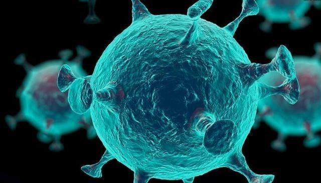 科学家 万物相生又相克，病毒有无克星，快来了解