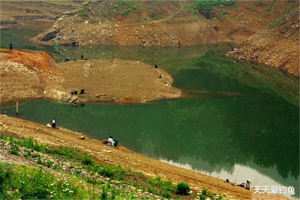 鲫鱼|春季钓鱼，钓位的地形选择技巧，这些位置有鱼群，鱼比其他地方多