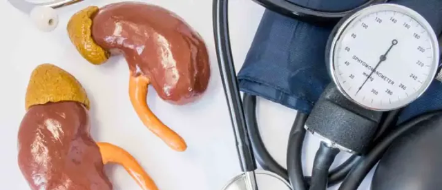 诗采春 肾功能受损，有哪些症状？如何判断一个男人肾好不好？