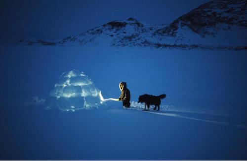 北极 来历成谜的爱斯基摩人 吃生肉却不生病但很少活过60岁