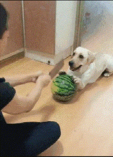 姐姐|“这是阿里巴巴20年前的招聘广告，那时的工资真的不低哈！”