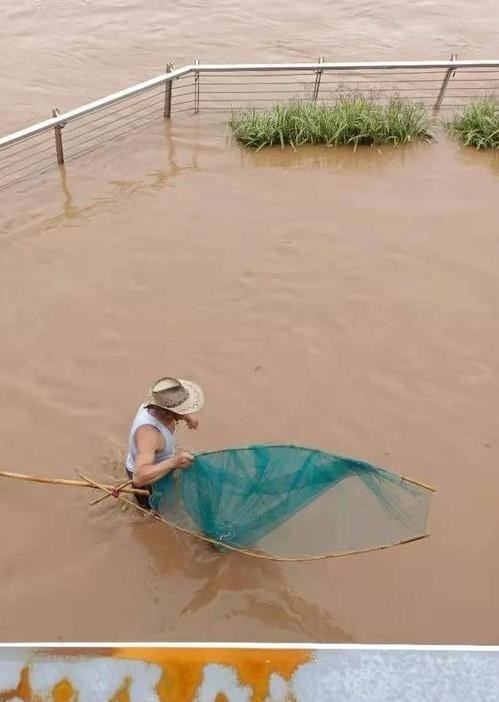 九烈or泥莉 韶关暴雨后，鱼群游入路面无人抓？其实已进入“全城捉鱼”模式