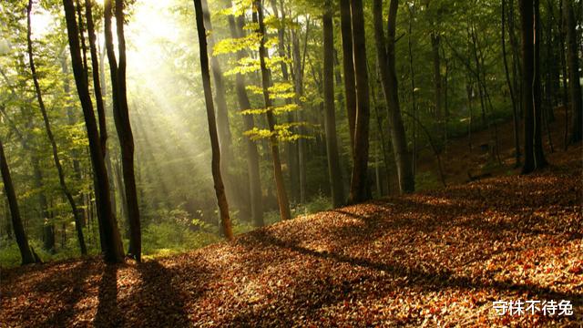 守株不待兔|真实存在于世界,或许只有学霸知晓的23个猎奇冷知识