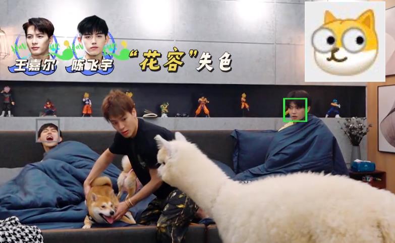 花匠小美|姚导眼光太好，《嗨放派》收视拿第一，任嘉伦王嘉尔出场太有梗