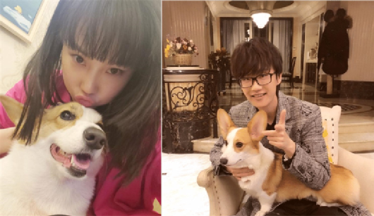 黄龄|知名女歌手恋情曝光！车内亲吻被拍，去年还与另一男星传绯闻