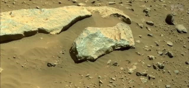火星 机遇号在火星上拍到“蜥蜴”，难道火星真的存在生命吗？