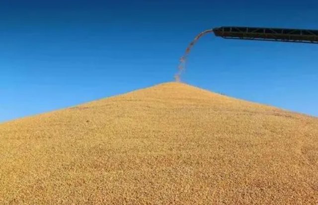蛋白质|全球首创！中国造出“人造粮食”，80亿人有望解决粮食危机？