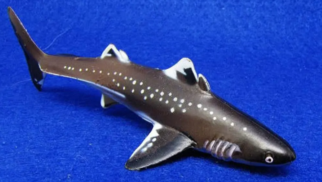 蚊子 鲨鱼进化之悲歌：被其他霸主欺负亿万年的感觉，你们人类不会懂的