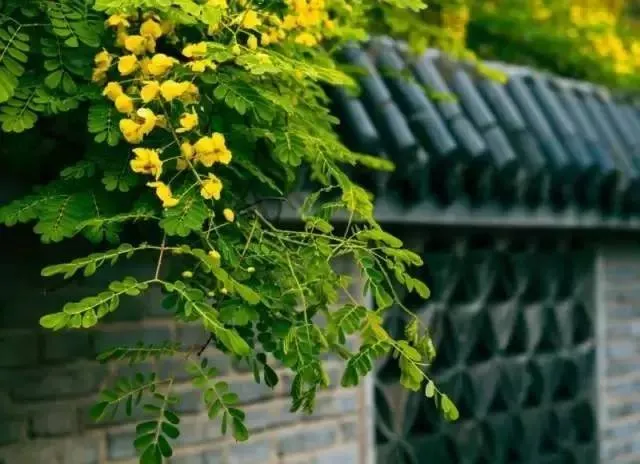 玄风八字运势 10月28日 九月廿三 ，十二生肖运势与注意事项