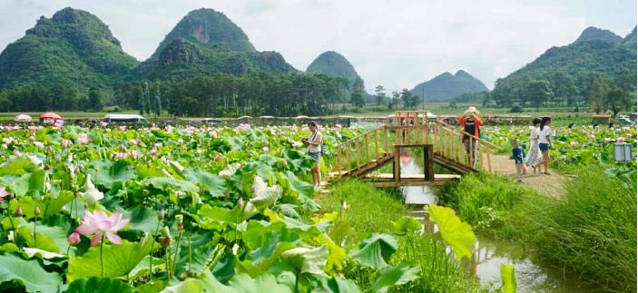 长脖子爸比说|265个景点,312座孤峰,83个溶洞,云南这个景区,真是壮美多彩