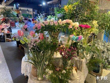 木子默 送别袁隆平,长沙,因为一个人从此爱上这座城