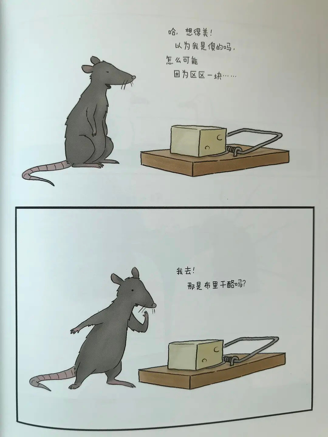 兔宝宝|画师绘制趣味小漫画，平平无奇的小动物身上，发生了有趣的故事