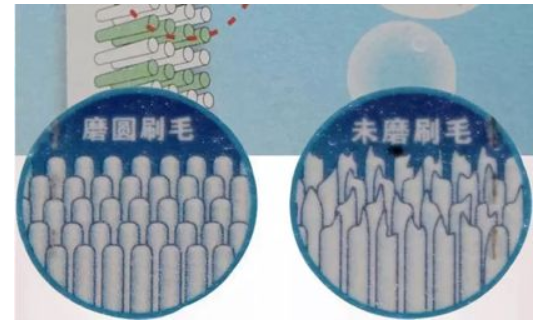 每日口腔科普|电动牙刷哪个牌子好？健康师武刚盘点四大挑选注意事项！