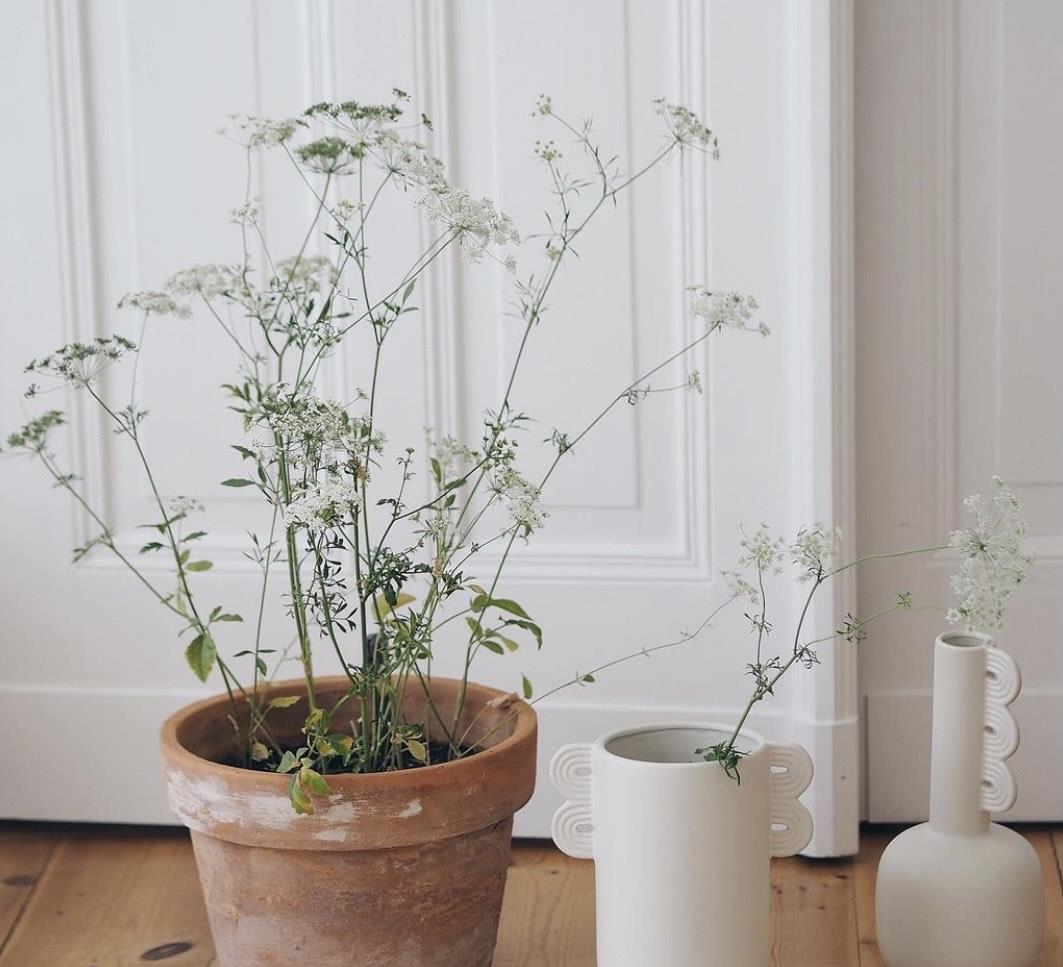 看完她家后，我彻底被治愈了！全屋轻奢风十足，精致又好看，超暖