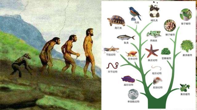 印度 人类在有生之年能实现跨越星系的星际旅行吗?