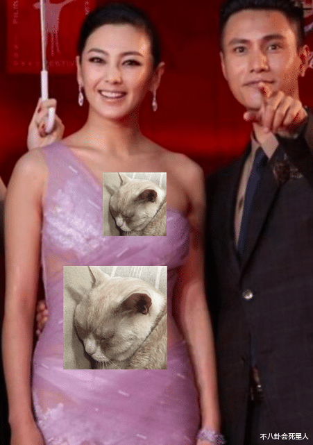 迪丽热巴|女星红毯露肩装，斜方肌、膀子大、背厚，“露肩杀”变“露肩死”