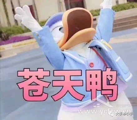 婴幼儿常识|国药育儿知识：笑疯了！小学生偷偷把没做完的暑假作业混进爱心捐书里