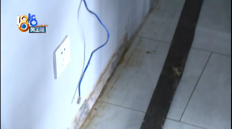 追尾 退租后发现蟑螂,5000元押金不退?