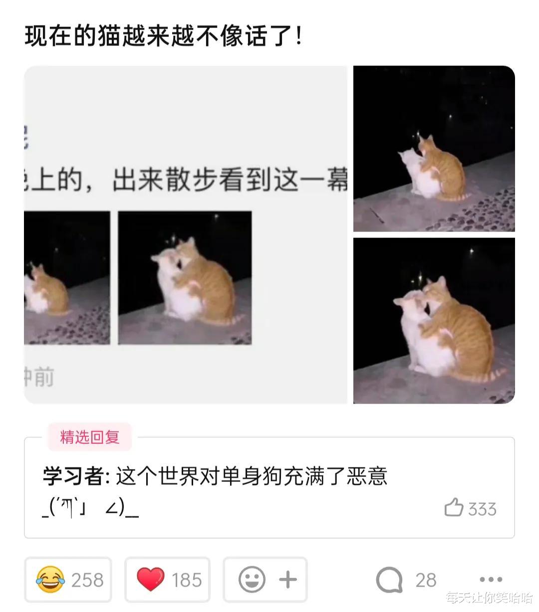 科学家 神回复:你是如何诞生的?你可是战胜了科学家、明星、医生的存在