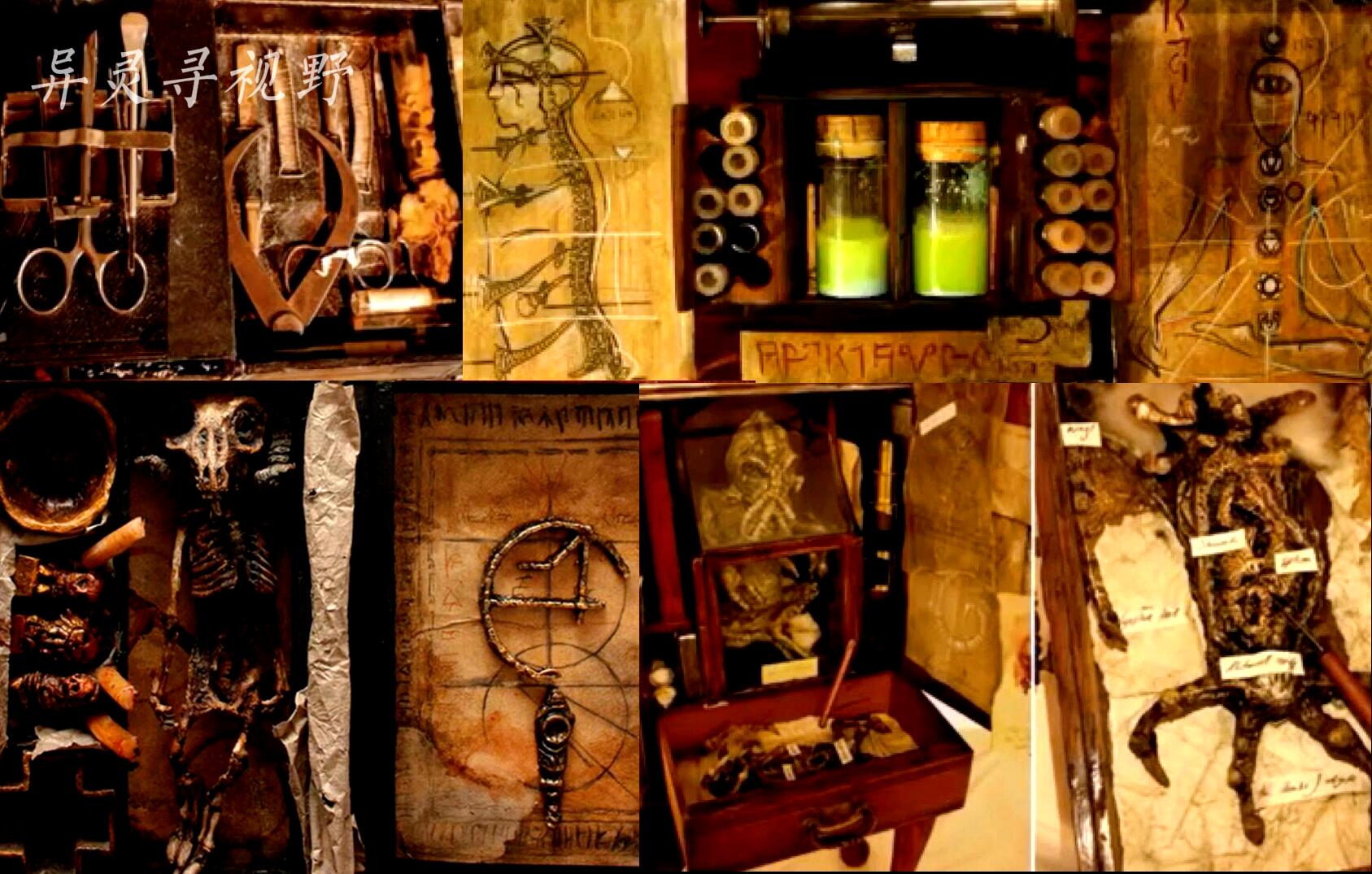 生物学家|梅林博物馆大量神秘玄幻的生物标本和文物，世界上真的有怪兽猎人吗？