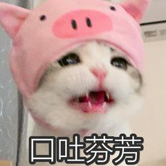 卓卓and然然|孕期洗发水怎么选?亲身试用3款孕妇洗发水,总有几款值得被收藏