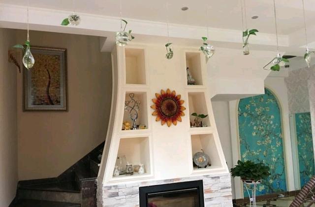 花两年时间装修好小别墅,占地600平花了200多万,院子我很喜欢