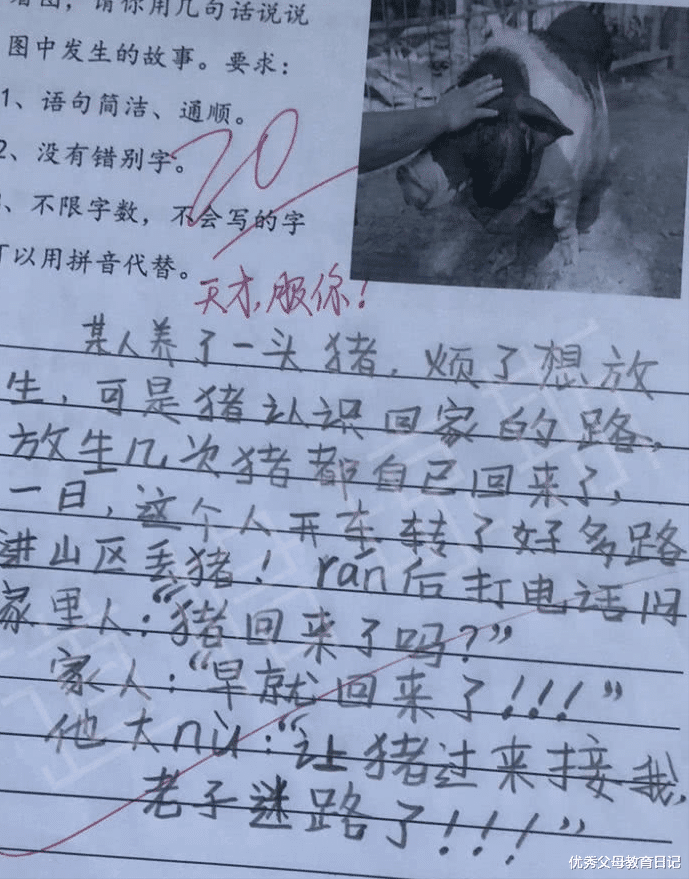作文|小学生的作文《不该说的话》，让网友捧腹大笑，内容属实精彩