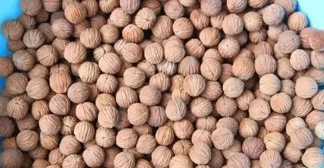 核桃|文玩猴头核桃的“前世今生”，你又了解多少