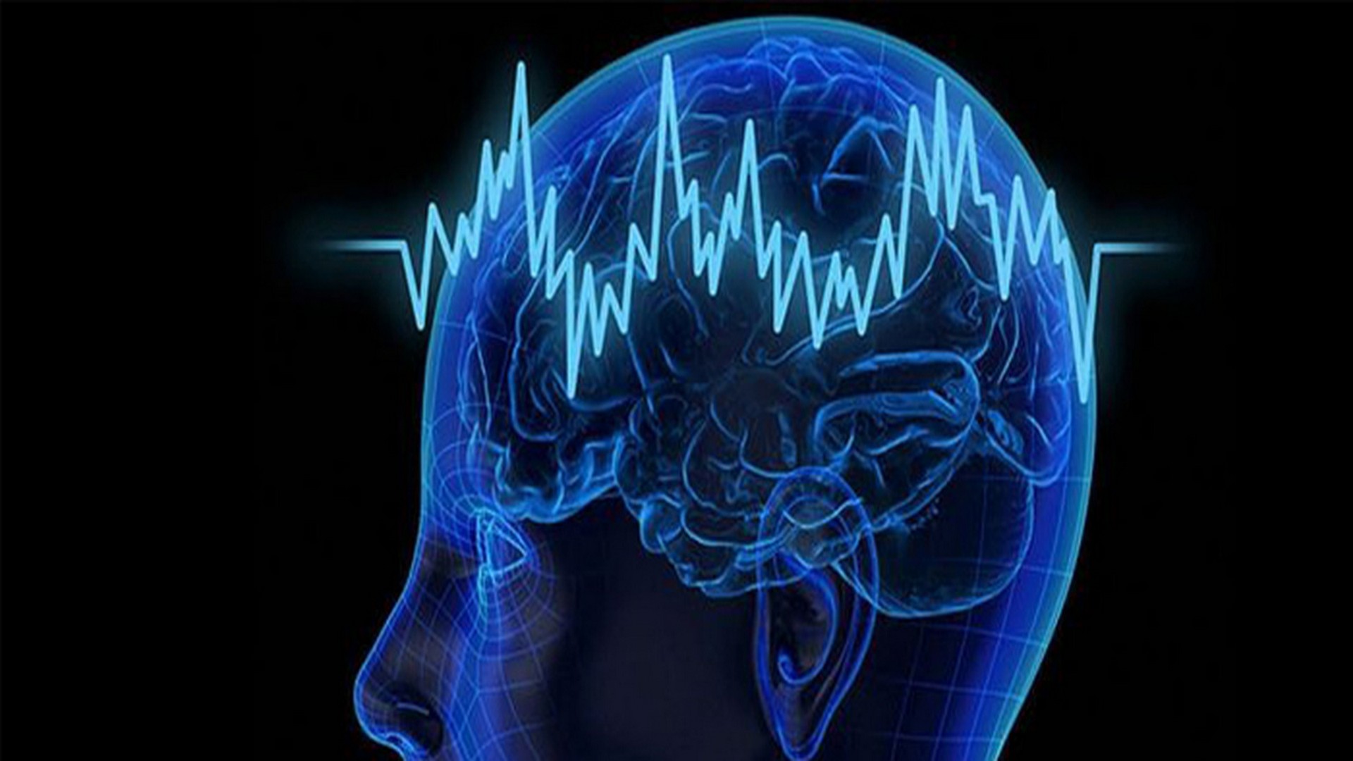 初级运动皮层中所有细胞类型的图谱，是首个全面脑细胞图谱