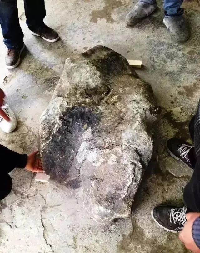 雕刻|雕刻师耗时4年，将100多公斤翡翠毛料雕成“马蜂窝”，暴涨千万！