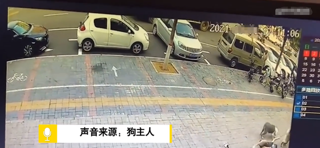 悦姐ya|河北一女子出门遛狗反被狗拽飞，拉在地上摩擦，网友：谁在遛谁？