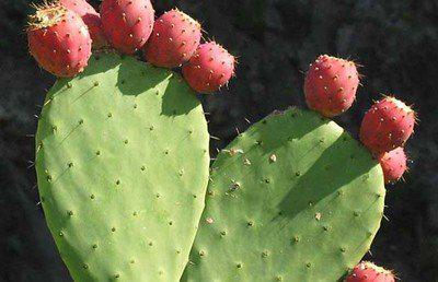 峰哥说表|滑膜炎的良药就在厨房,试试这几个妙方,消肿止痛还治半月板!