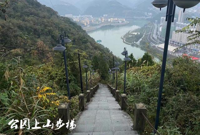 知情人透露:湖北晨跑女孩遇害前曾发出疑似求救信号,可惜未重视