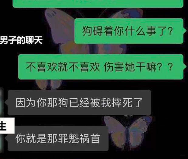 城市谈 男子多次虐狗致死，被女子阻止后称：因你摔的，你才是罪魁祸首