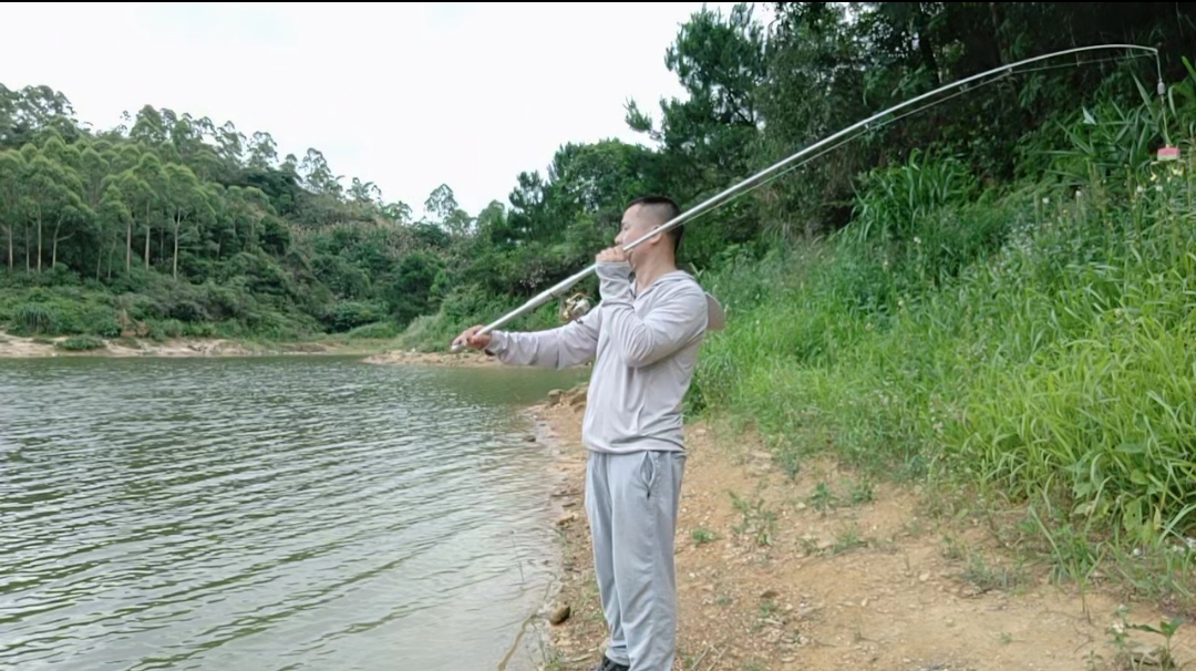 鲢鳙|老地方老钓位，抛竿浮钓鲢鳙一条接一条上，不惧烈日只为钓鱼。三甲水库野钓户外钓鱼