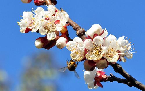 离雨微凉 心情不好的时候，坚持去做这三件事