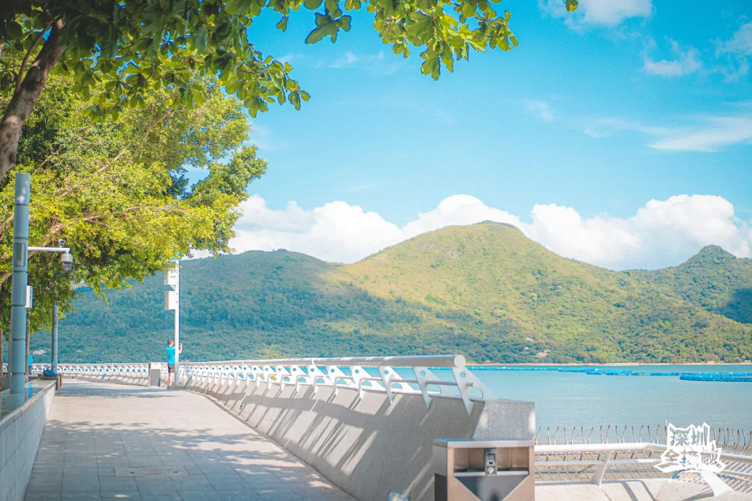 一马平天下 闭门133天，重开不足1年，中英街变了？