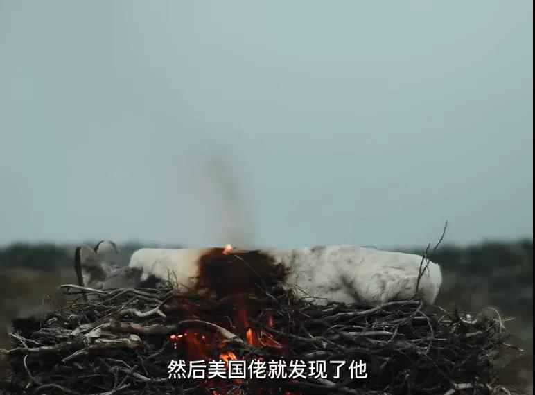 女主播|直男的「X幻想」，都藏在这部影片内，看的时候请准备好纸巾