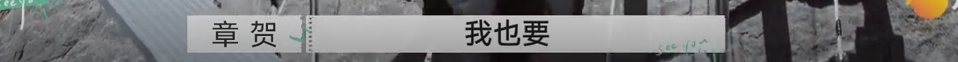 郭柯宇|你觉得这三对，谁能复婚、谁还得分？