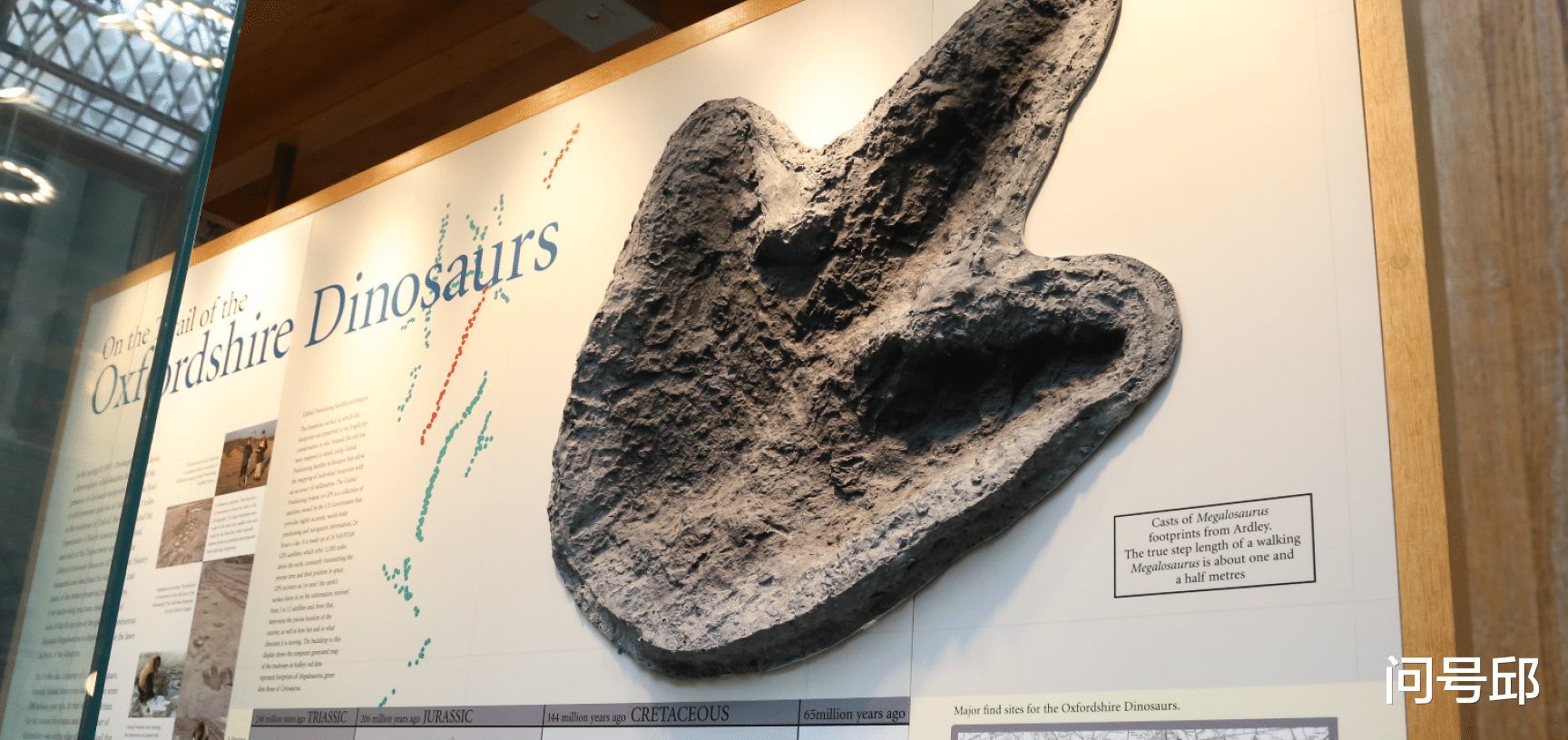 恐龙 从一张侏罗纪恐龙的插图中，探索当年地球的多样物种和生态系统