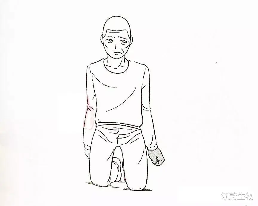 领蔚生物|一文带读懂偏瘫的分期及康复训练方案