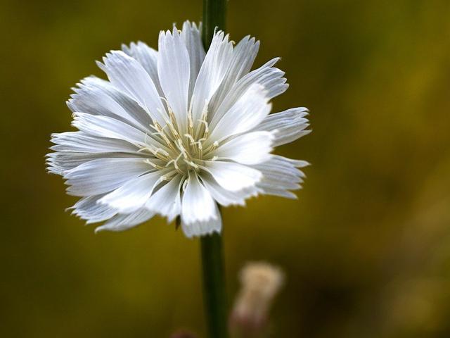 情感说心事|人生感悟:干净待人,清净待己