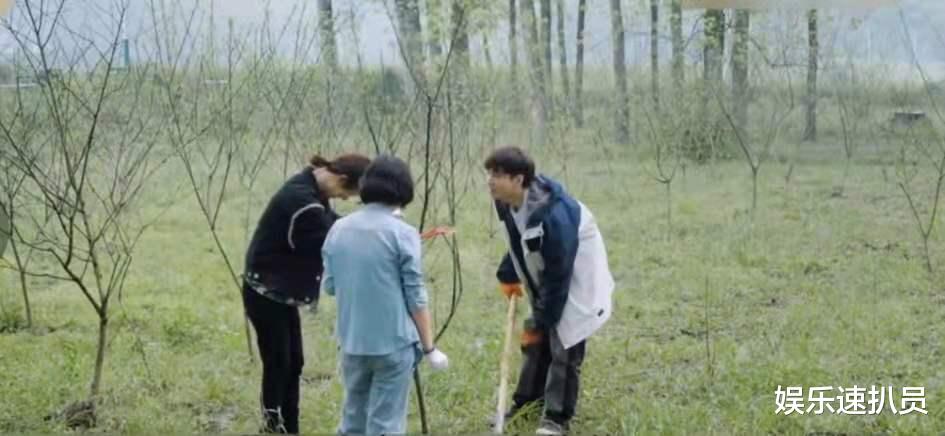 杨紫|杨紫结束《向往》录制，唯独没加张艺兴好友，听完解释尴尬了