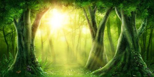 全球最能扛饿的生物,青蛙可以20个月不吃东西,还不是最厉害的