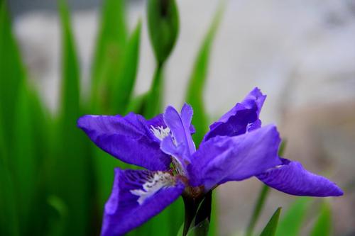 离雨微凉 看清一个人,三件事就够了