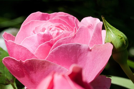 宇录良言|透彻走心的人生感悟短语，内涵深刻，让人读了又读