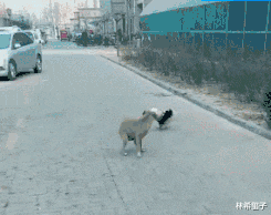 |“钓鱼钓到这玩意，还真没见过，这是啥鱼？”