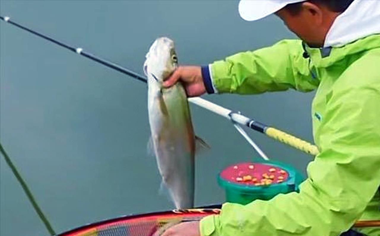 广东省|钓王邓刚在广东盘黑坑，塘主瞧不起被打脸，不要鱼获抬回了一头猪