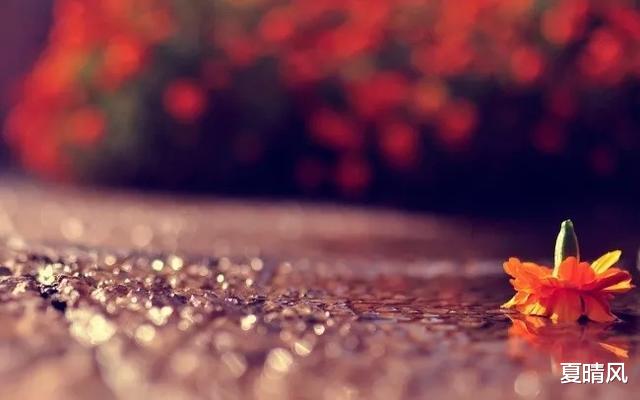 夏晴风 愿有一人，伴你一生