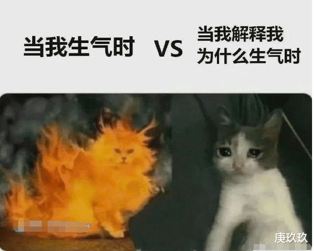  自从有了望远镜，远的可以看浩瀚星辰，近的就算远景拍摄吧